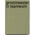 Grootmeester in teamwork
