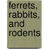 Ferrets, Rabbits, And Rodents