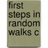 First Steps In Random Walks C