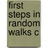 First Steps In Random Walks C