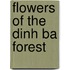 Flowers of the Dinh Ba Forest