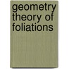 Geometry Theory Of Foliations door Neto Alcides Lins