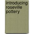 Introducing Roseville Pottery