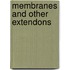 Membranes and Other Extendons