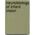 Neurobiology Of Infant Vision