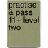 Practise & Pass 11+ Level Two