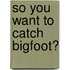So You Want to Catch Bigfoot?