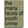 The Many Faces Of Youth Crime door Josine Junger-Tas