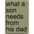 What A Son Needs From His Dad