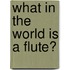 What In The World Is A Flute?