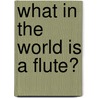 What In The World Is A Flute? door Mary Elizabeth Salzmann