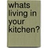 Whats Living in Your Kitchen?