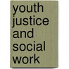 Youth Justice And Social Work door Jane Pickford