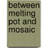Between Melting Pot And Mosaic