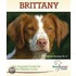 Brittany (Breed Lover's Guide)