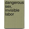 Dangerous Sex, Invisible Labor by Prabha Kotiswaran