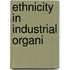 Ethnicity in Industrial Organi