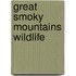 Great Smoky Mountains Wildlife