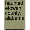 Haunted Etowah County, Alabama door Mike Goodson