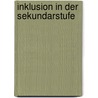 Inklusion in der Sekundarstufe door Bettina Amrhein