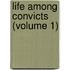 Life Among Convicts (Volume 1)