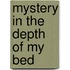 Mystery in the Depth of My Bed