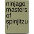 Ninjago Masters of Spinjitzu 1