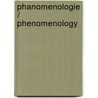 Phanomenologie / Phenomenology by Niels W. Bokhove