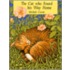 The Cat Who Found His Way Home