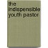 The Indispensible Youth Pastor