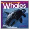 Welcome to the World of Whales by Diane Swanson