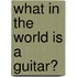 What In The World Is A Guitar?