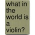 What In The World Is A Violin?