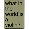 What In The World Is A Violin? door Mary Elizabeth Salzmann