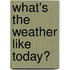 What's The Weather Like Today?