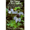 Wild Flowers Of North Carolina by William S. Justice
