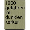 1000 Gefahren Im Dunklen Kerker by Fabian Lenk
