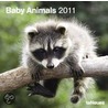 2011 Baby Animals Grid Calendar door 2011 teNeues