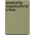 Assessing Organizational Crises