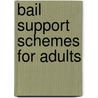 Bail Support Schemes For Adults door Anthea Hucklesby