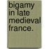 Bigamy In Late Medieval France.