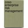 Coso Enterprise Risk Management door Robert R. Moeller