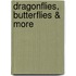 Dragonflies, Butterflies & More