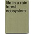 Life in a Rain Forest Ecosystem