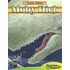 Moby Dick [With Hardcover Book]