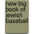 New Big Book Of Jewish Baseball