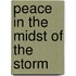 Peace In The Midst Of The Storm