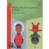 Primer Dia En Un Planeta Extrao