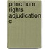 Princ Hum Rights Adjudication C