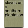 Slaves on a Southern Plantation by Debbie Levy